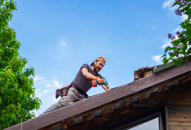 Best Roof Leak Repair  in Wellington, TX